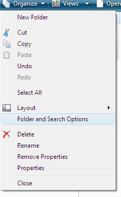 organize folder and search options