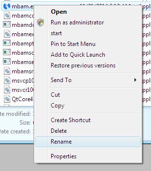 rename mbam.exe