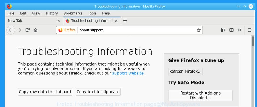 firefox Troubleshooting Information page