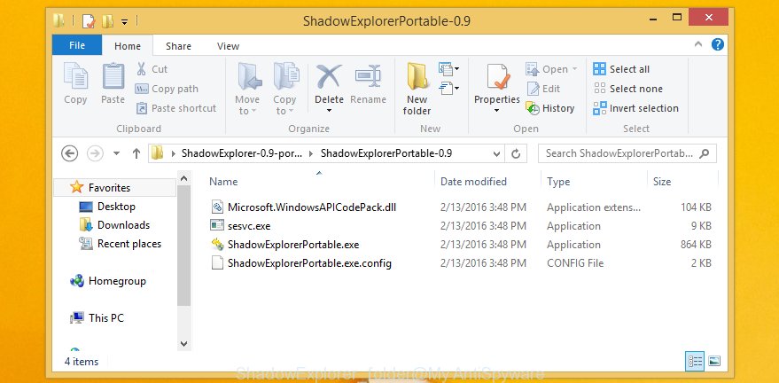 ShadowExplorer folder