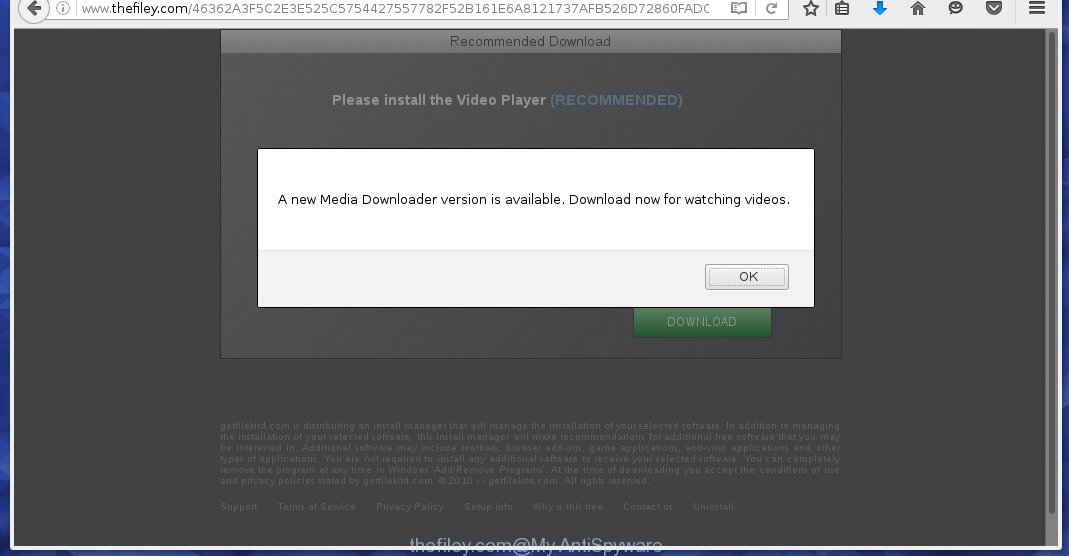 http://www.thefiley.com/ offers to install an unknown software