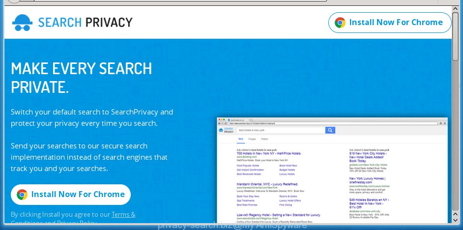 privacy-search.biz