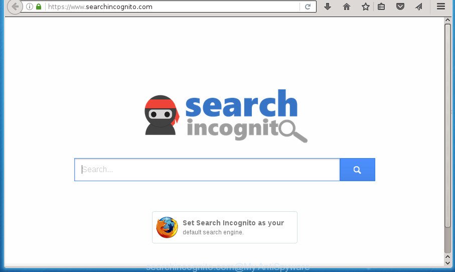 searchincognito.com