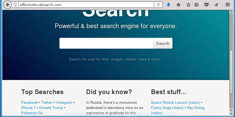 Effectivelocalsearch.com