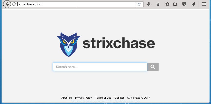 Strixchase.com