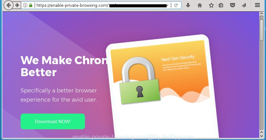 enable-private-browsing.com