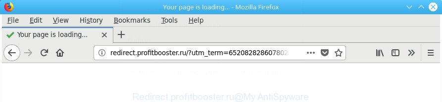 Redirect.profitbooster.ru