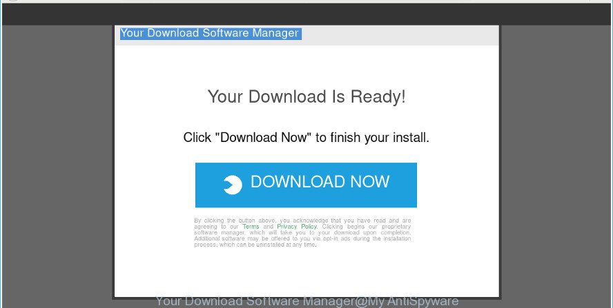 Your Download Software Manager