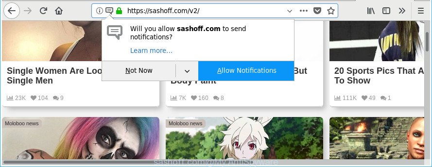 sashoff.com