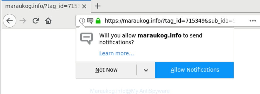 Maraukog.info