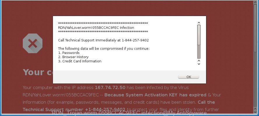 RDN_Trojan.worm 055BCCAC9FEC infection