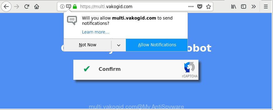 multi.vakogid.com
