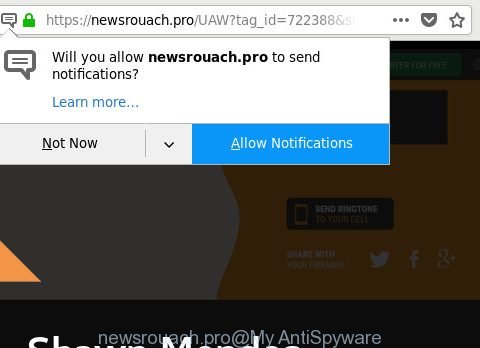 newsrouach.pro