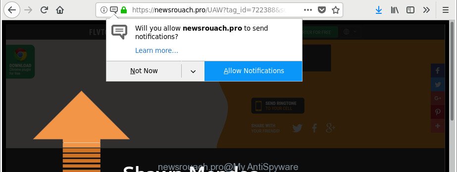 newsrouach.pro