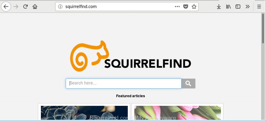 Squirrelfind.com