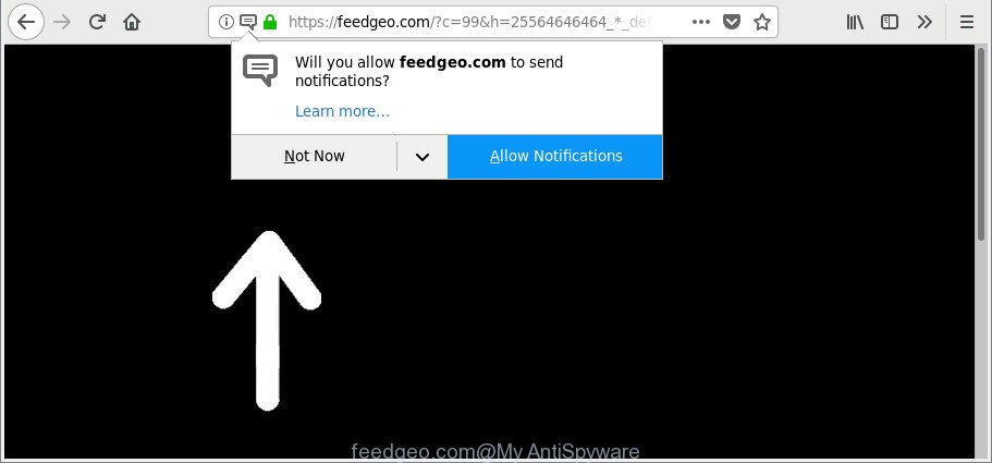 feedgeo.com