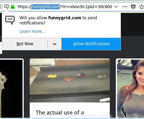 funnygrid.com