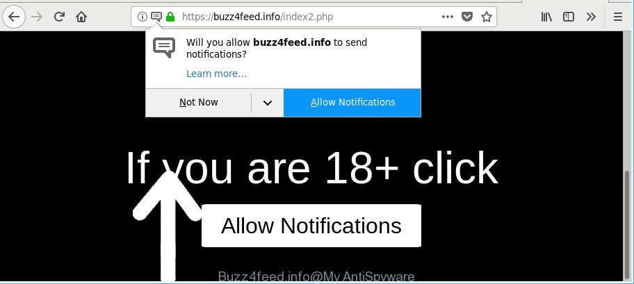 Buzz4feed.info