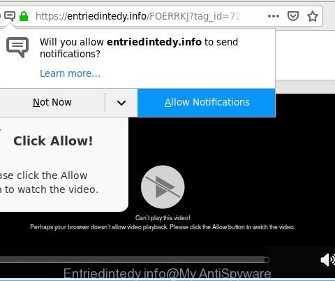 Entriedintedy.info