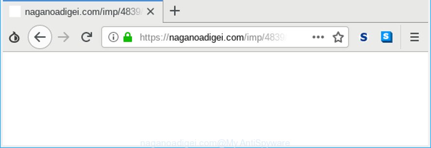 naganoadigei.com