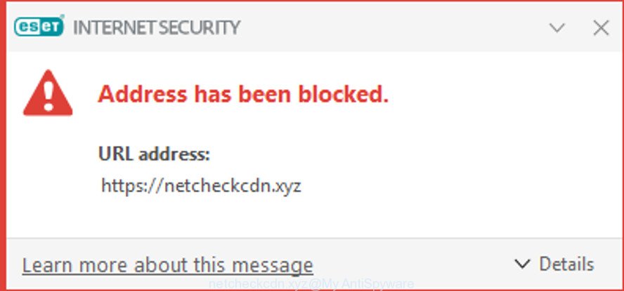 netcheckcdn.xyz