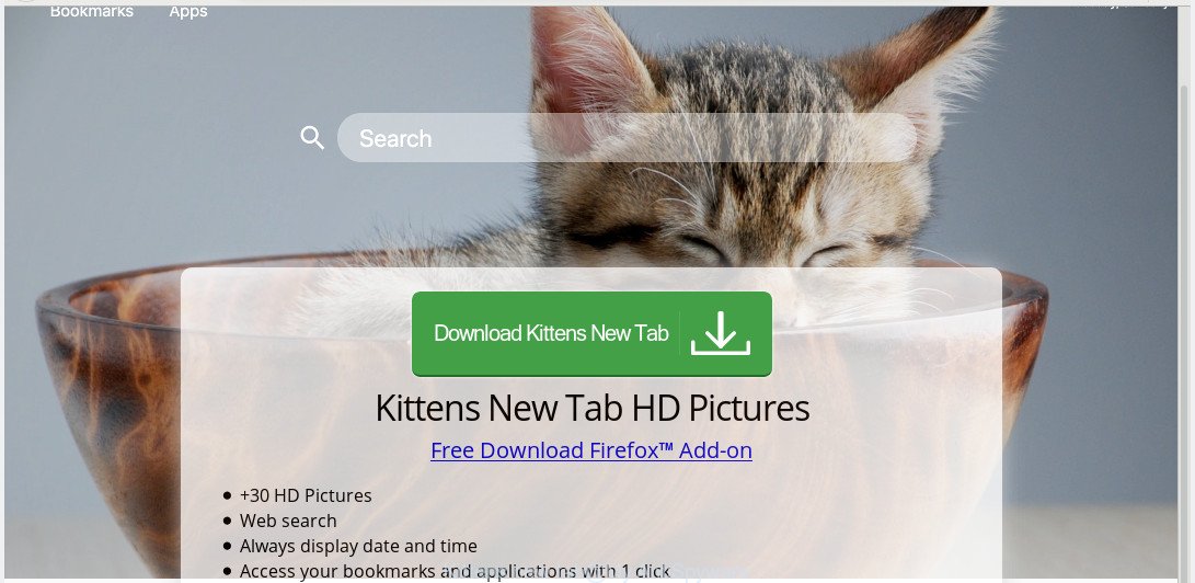 Kittens new tab