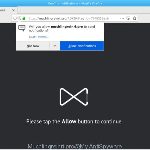 Muchlingreinri.pro