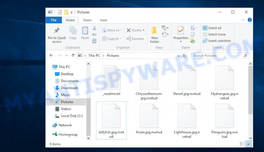 Files encrypted by Nvetud virus