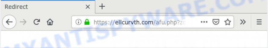 ellcurvth.com