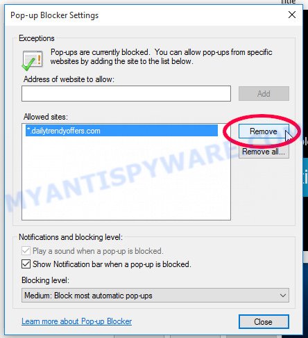 Internet Explorer spam browser notifications removal