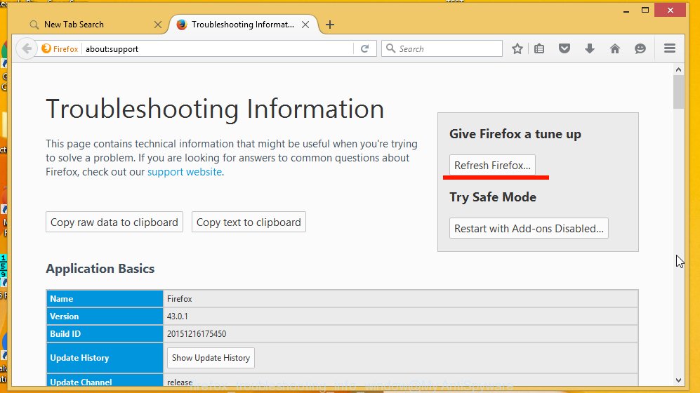 Mozilla Firefox troubleshooting info window