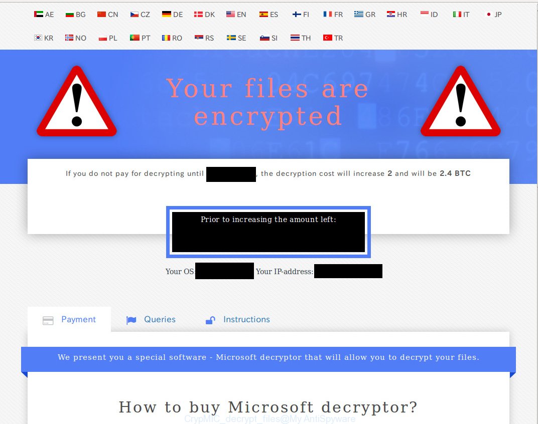 Microsoft Decryptor