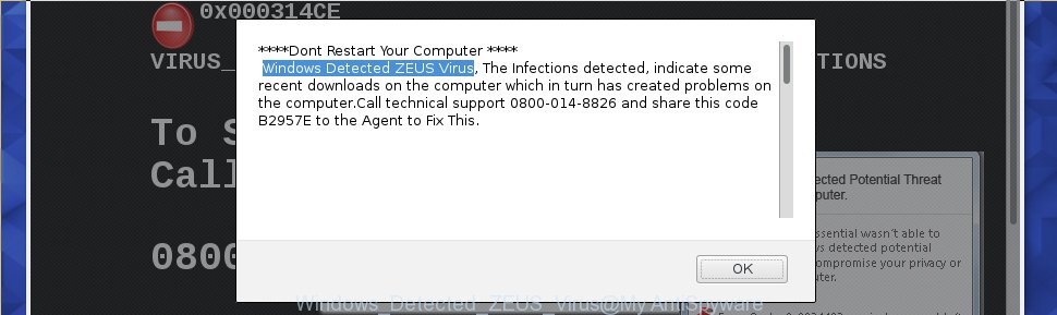 Zeus Virus Detected