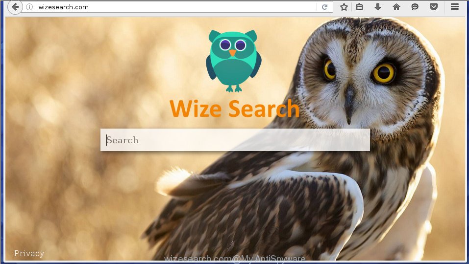 wizesearch.com