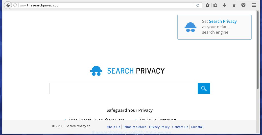 http://www.thesearchprivacy.co/
