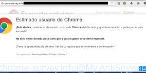 chrome-survey.info