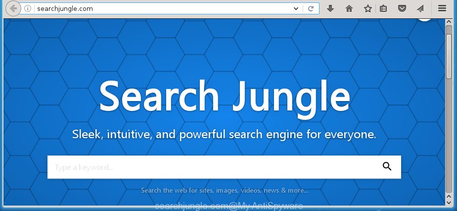 searchjungle.com