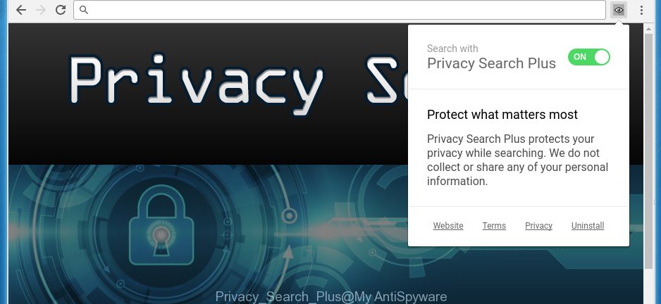 Privacy Search Plus