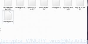 WanaDecryptor WNCRY virus