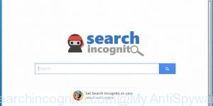 searchincognito.com