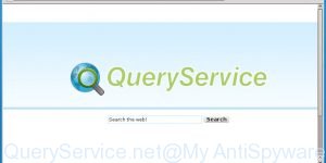 QueryService.net