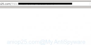 aniop25.com