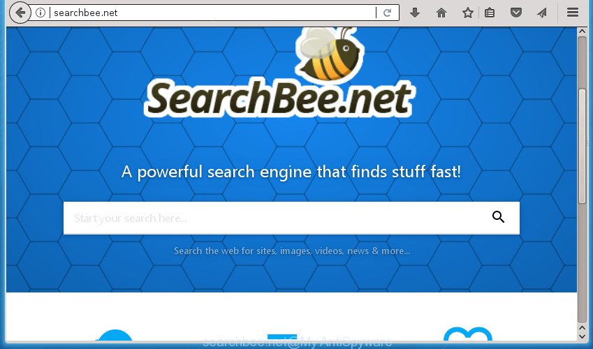 searchbee.net