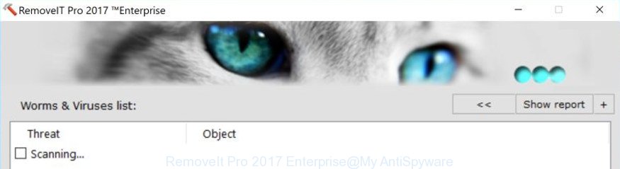 RemoveIt Pro 2017 Enterprise