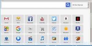 Direct Web Links
