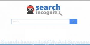 Search Incognito