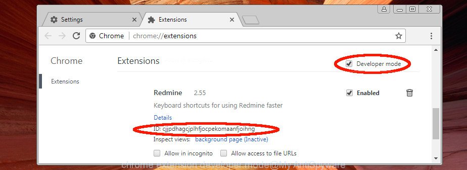 chrome extension developer mode