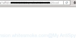 extension.whitesmoke.com