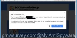 gmwsurvey.com