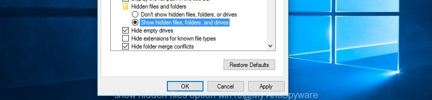 show hidden files option win10